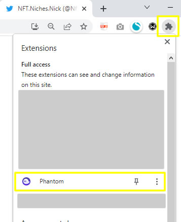 How to find the Phantom Wallet extension in a Chrome Browser