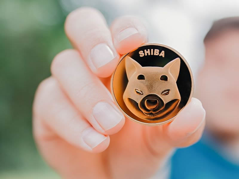 where can i buy shibu crypto